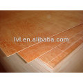 plant Fushi Eucalyptus commercial plywood to Korea